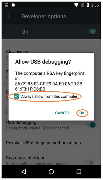 /images/Enabling-Developer-Options/AllowUSBDebugging.jpg