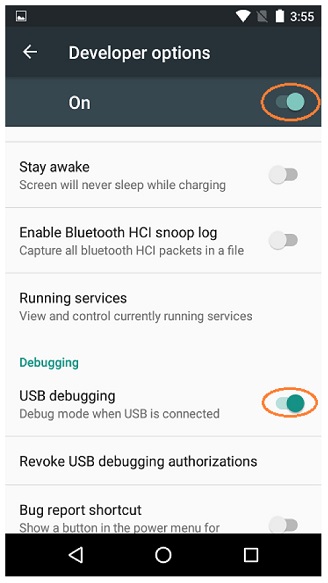 /images/Enabling-Developer-Options/DeveloperOptions.jpg
